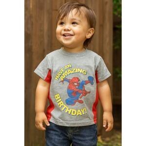 Spiderman Boys'‎ Birthday T-Shirt - Boy Size 4 Gray T-Shirt
